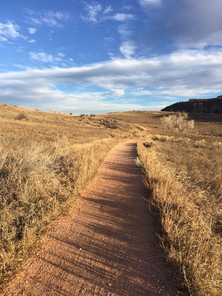 Long dirt path through golden dry grass under a partly cloudy sky. - Swan Johnson, Sawmill and Shoreline Trail Loop