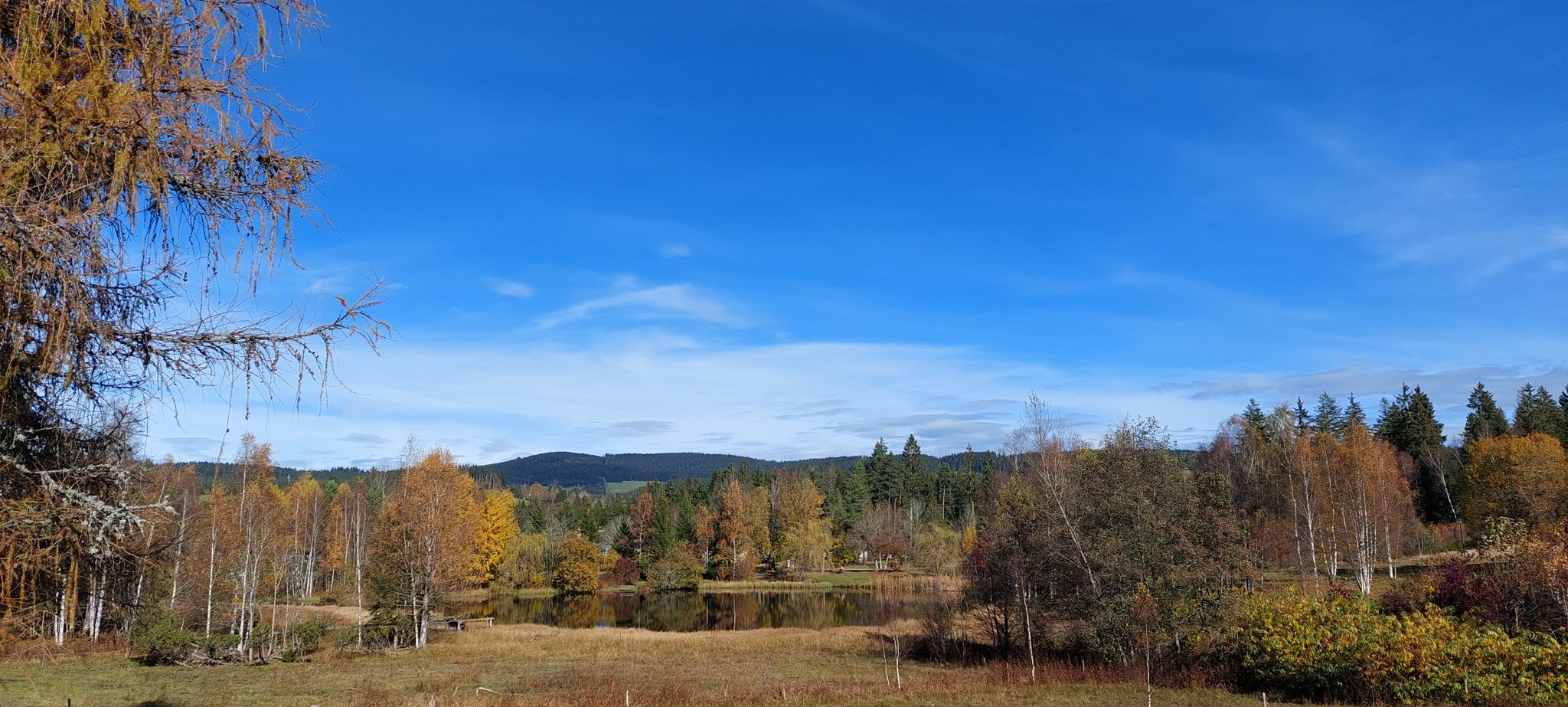 Adlerweiher