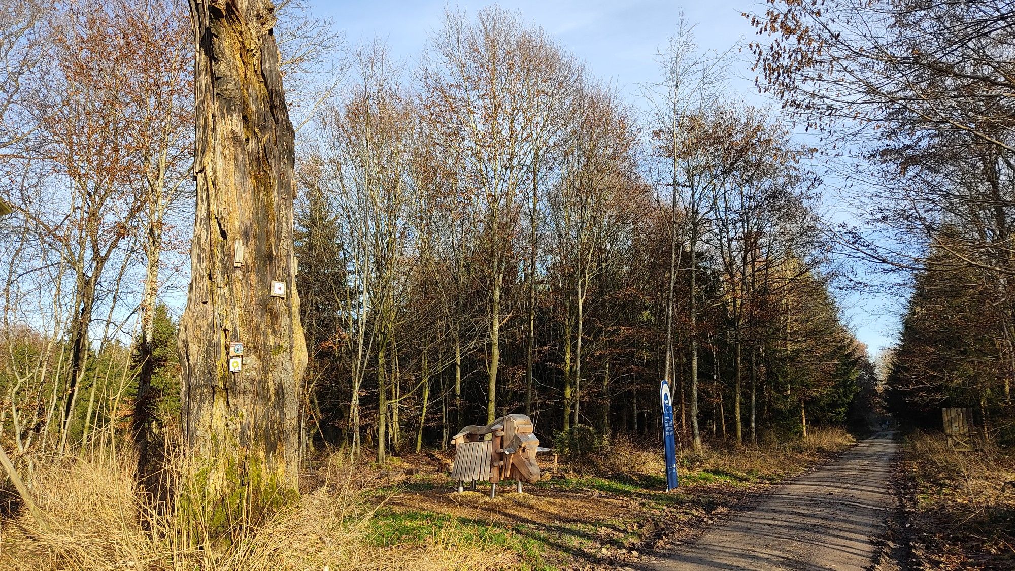 auch was für Kinder