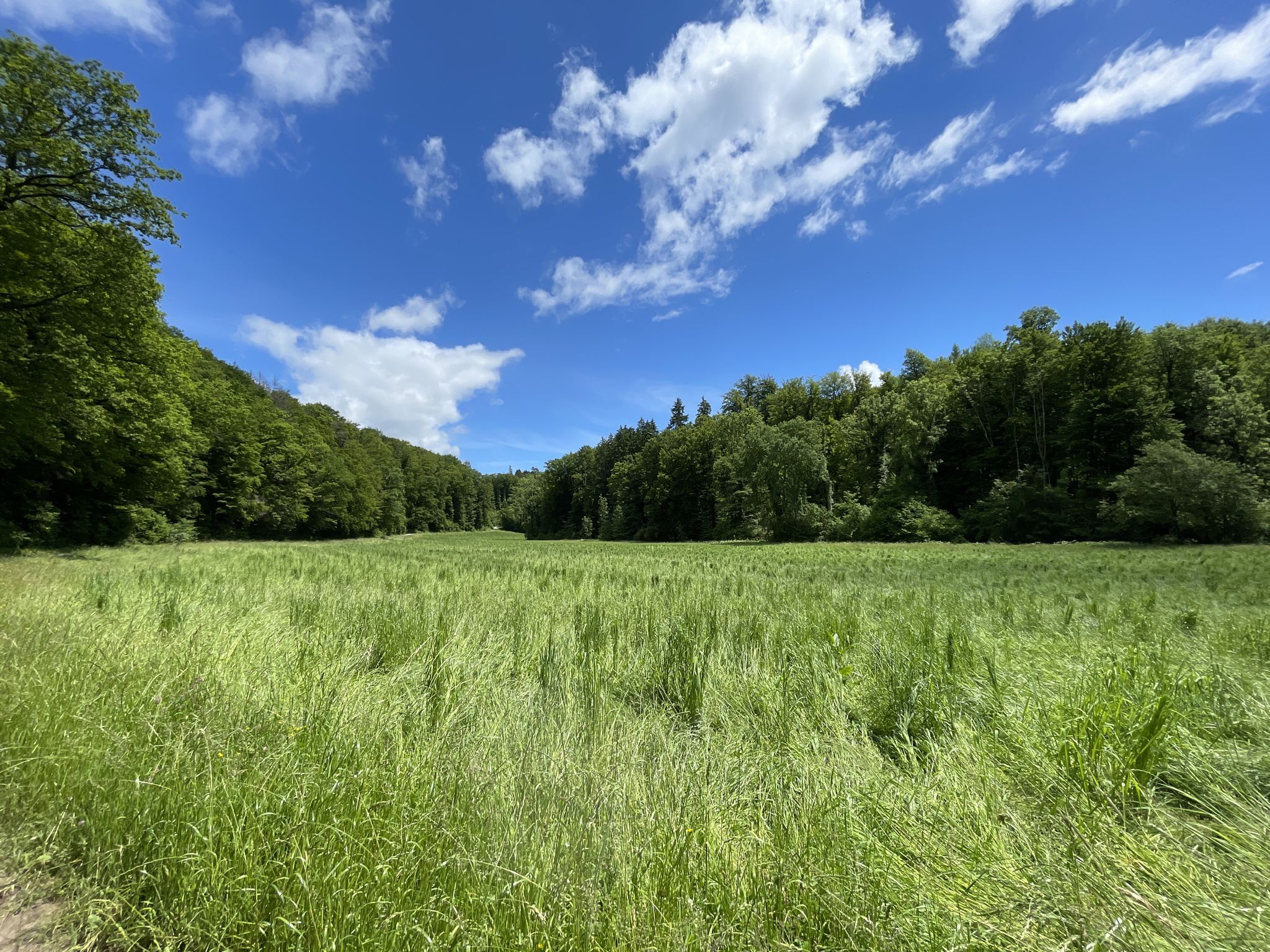 Boverange - Auenlandschaft