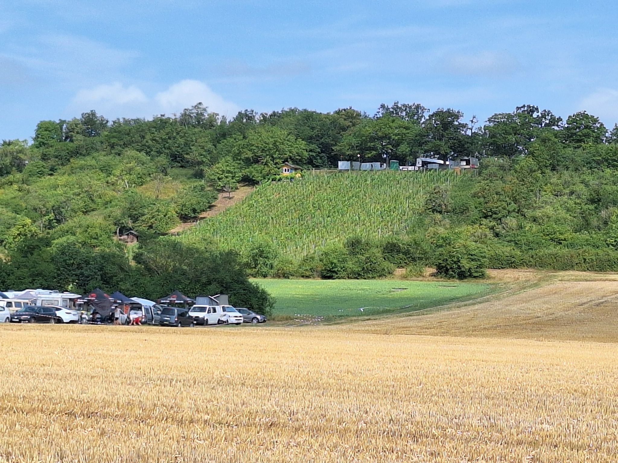 Musikfestival am Weinturm Bad Windsheim