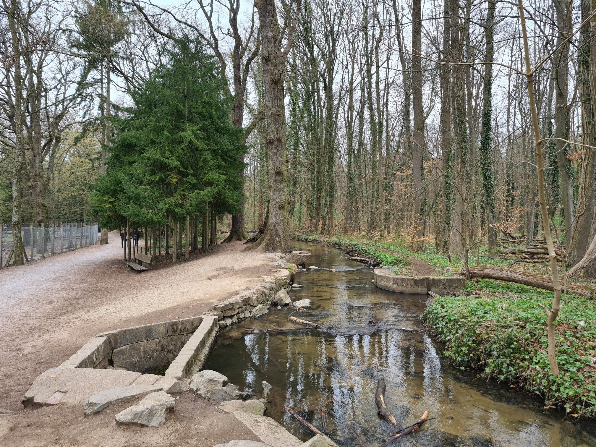 Weg entlang des Wildparkes Dünnwaldes