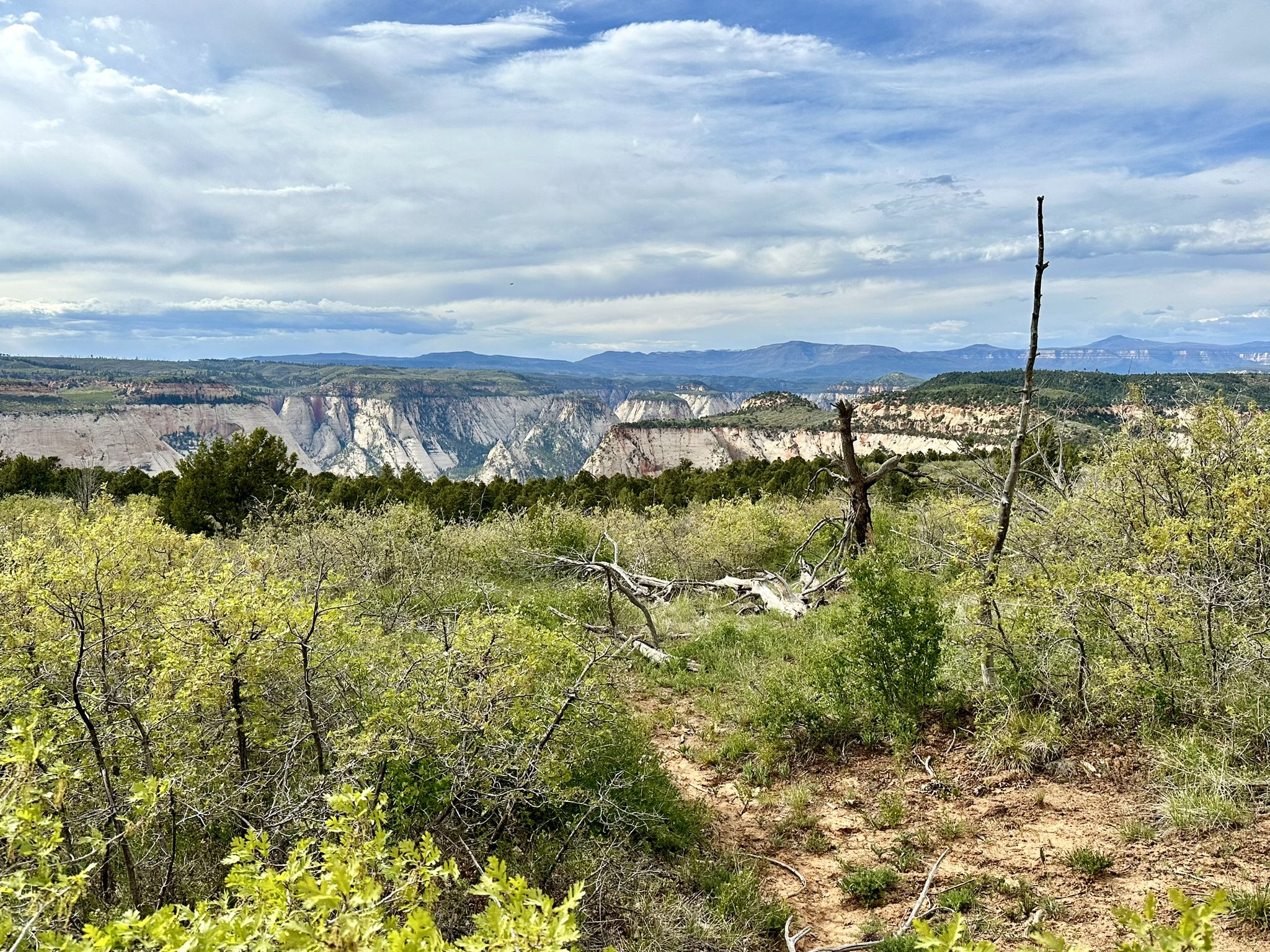 Expansive canyon landscape seen from a brushy foreground under a cloudy sky. - Cable Mountain via Stave Spring Trailhead