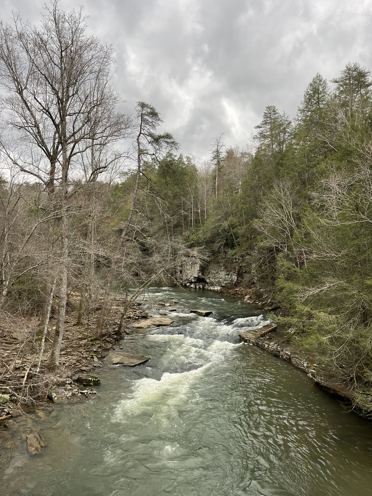A river with rapids flows through a forest under a cloudy sky. - Gorge Overlook and Woodland Trail Loop
