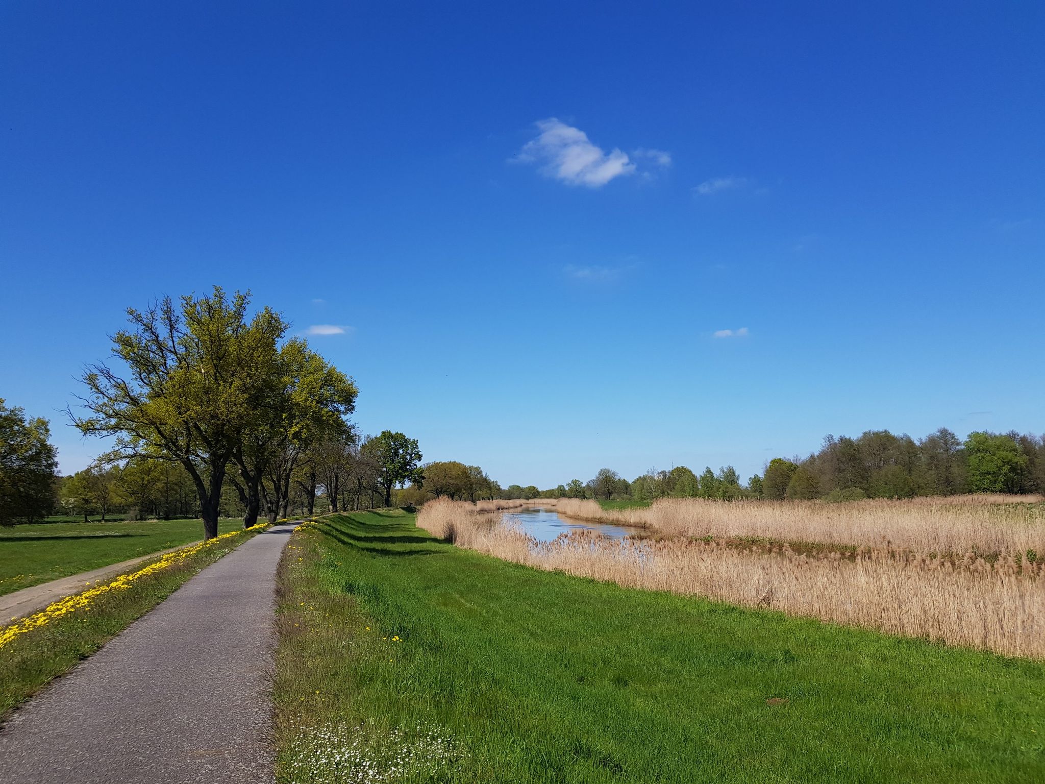 Elsterradweg
