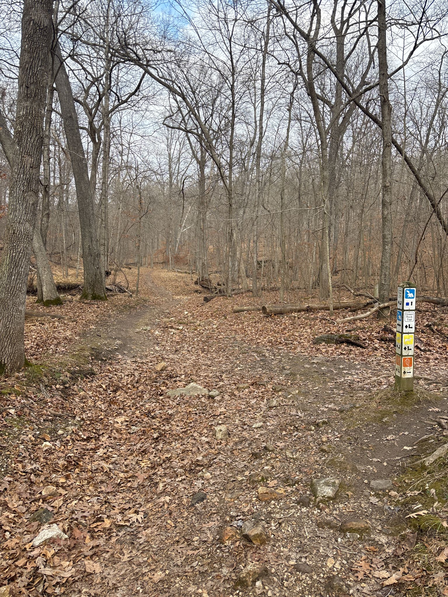 A fork in a leaf-covered dirt trail through a bare forest with a marker. - Eagle Valley and DeClue Trail Loop