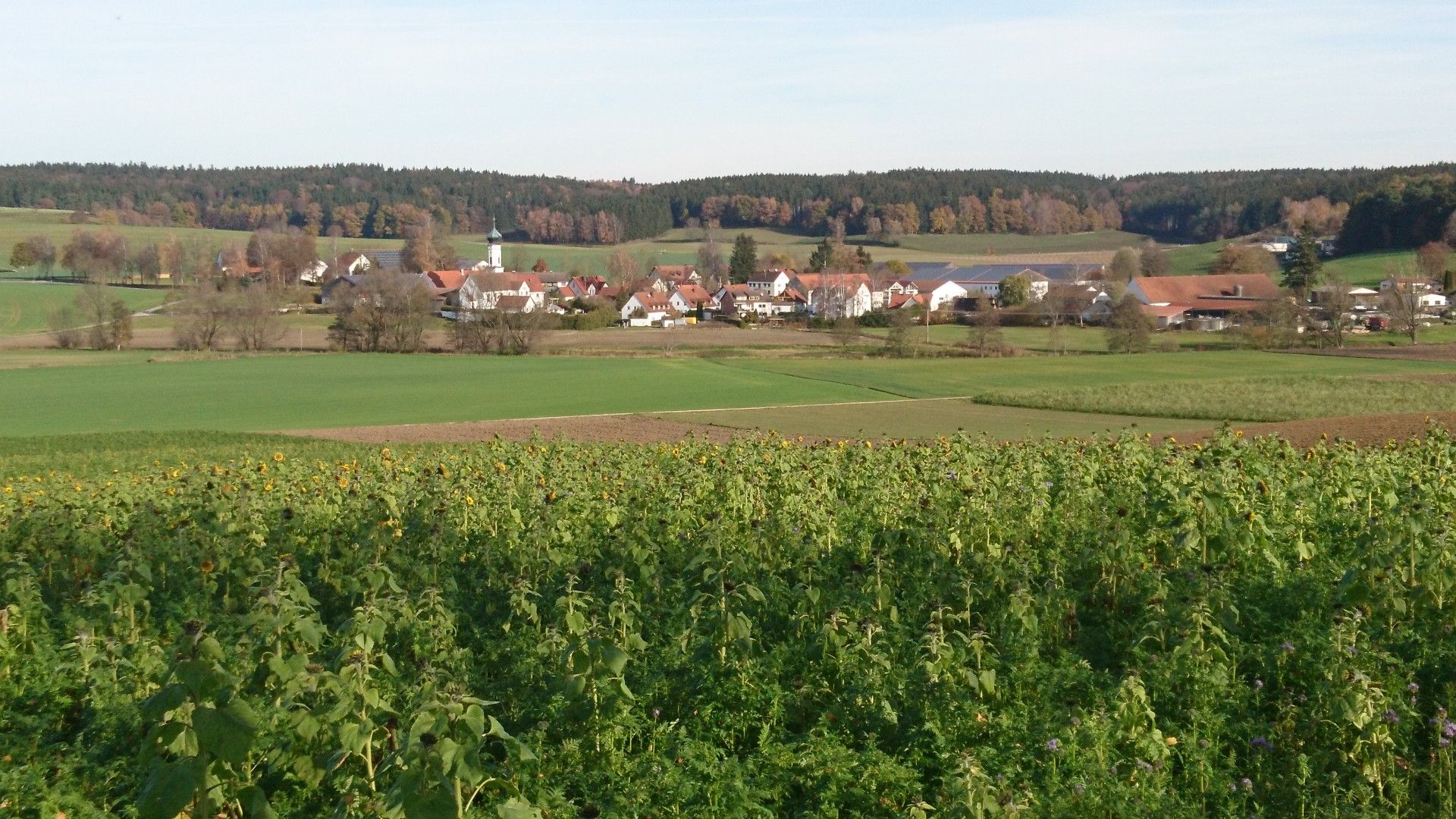 Blick auf Rehrosbach