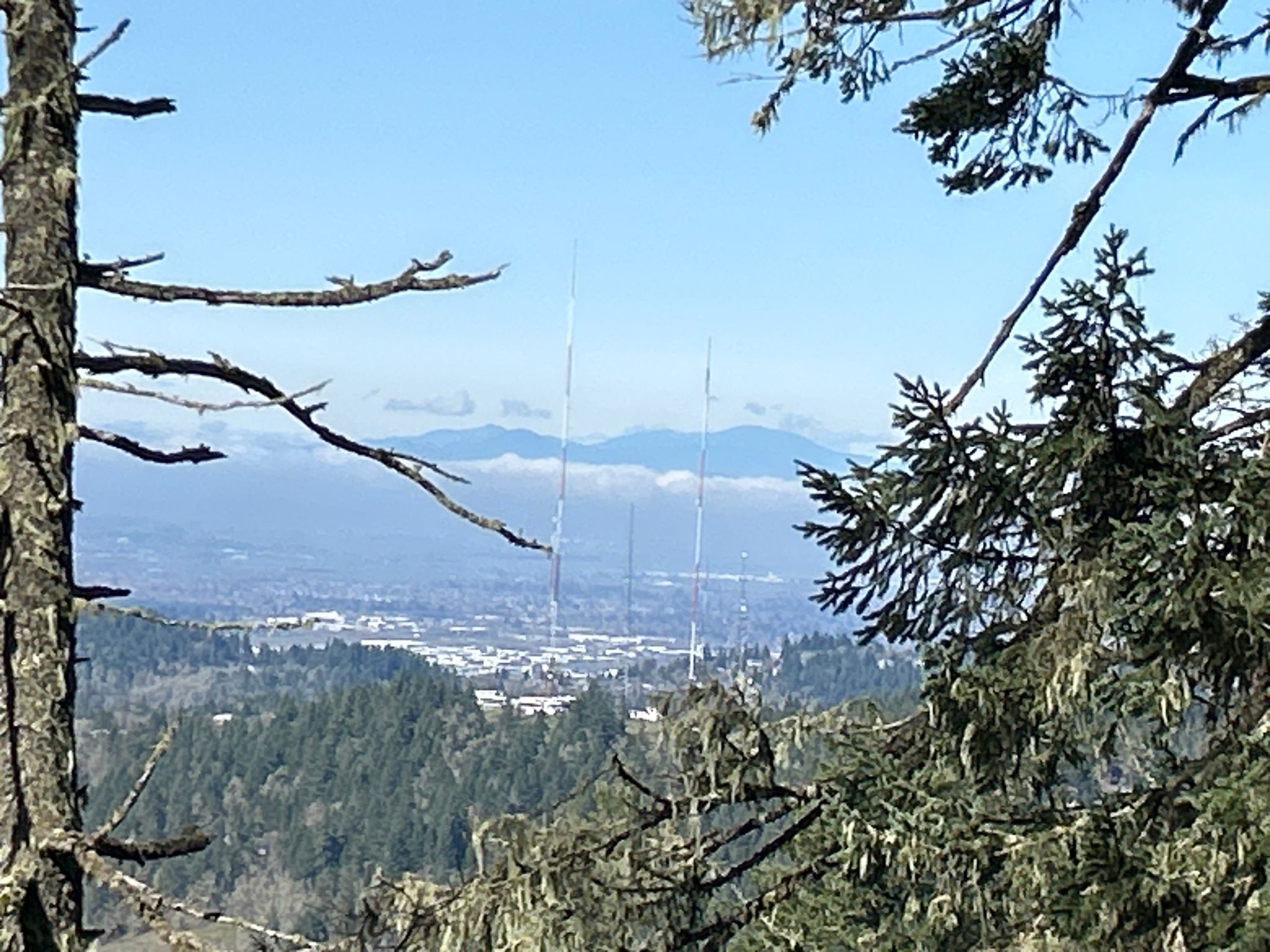 Forest view of a distant city and mountains under clear skies. - Spencer Butte West Trail