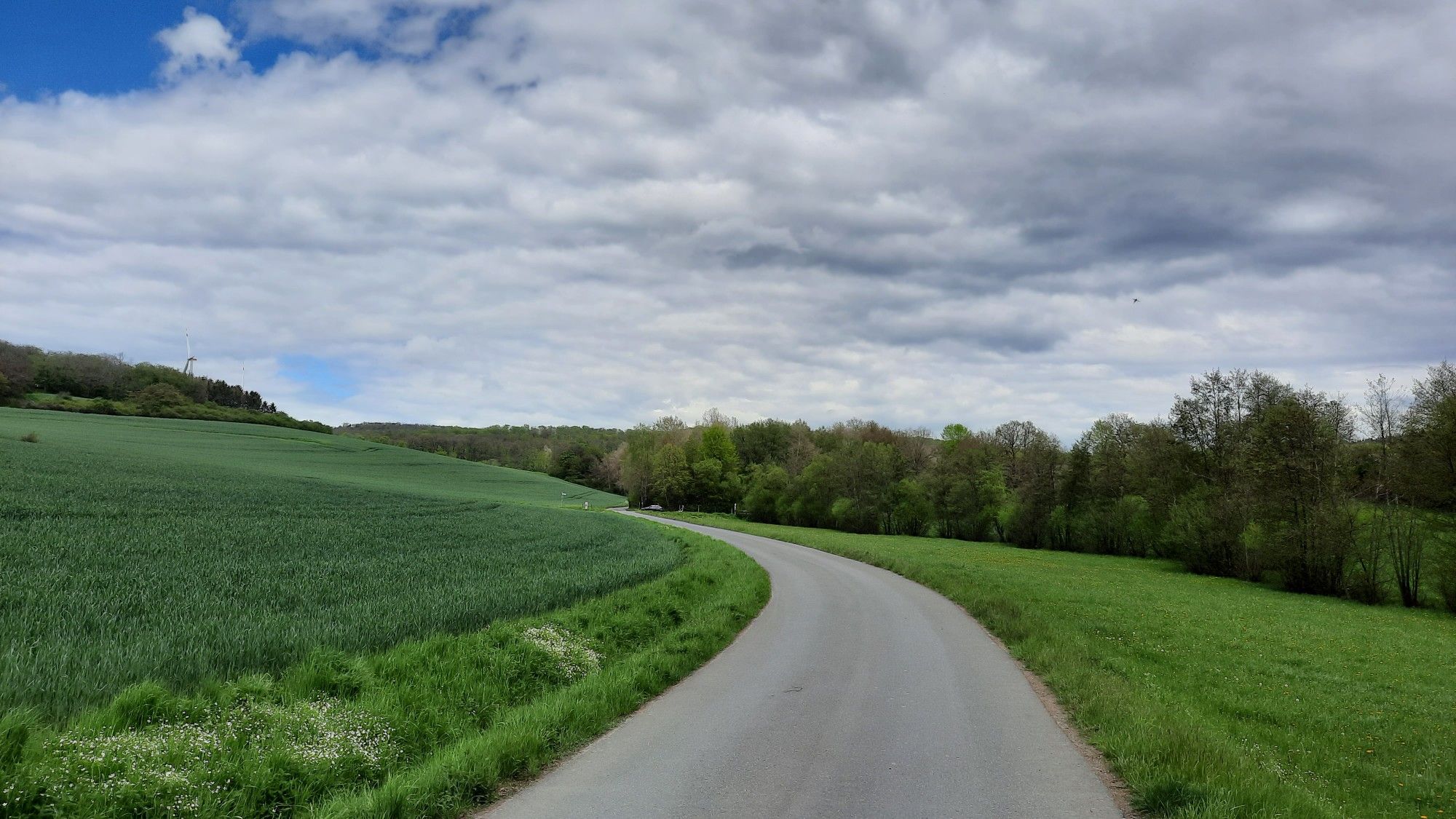 Am Hermannstein