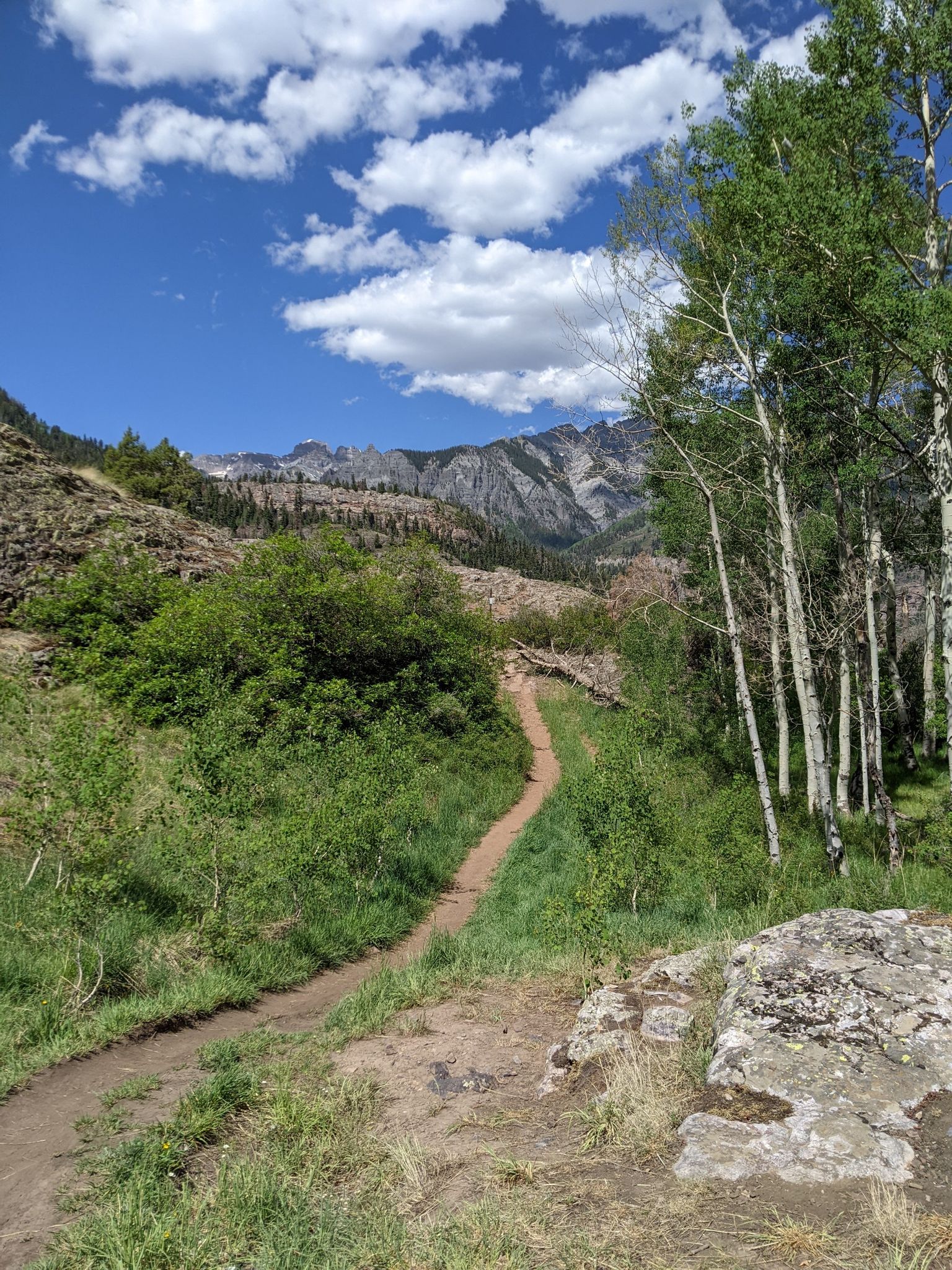 Winding dirt trail through green grass and aspen trees, on a sunny day. - Ouray Ice Park Perimeter Loop