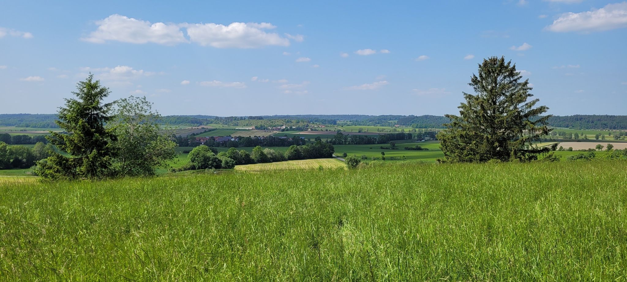 Nochmal Aussicht Richtung Gastenfelden vor dem Wald