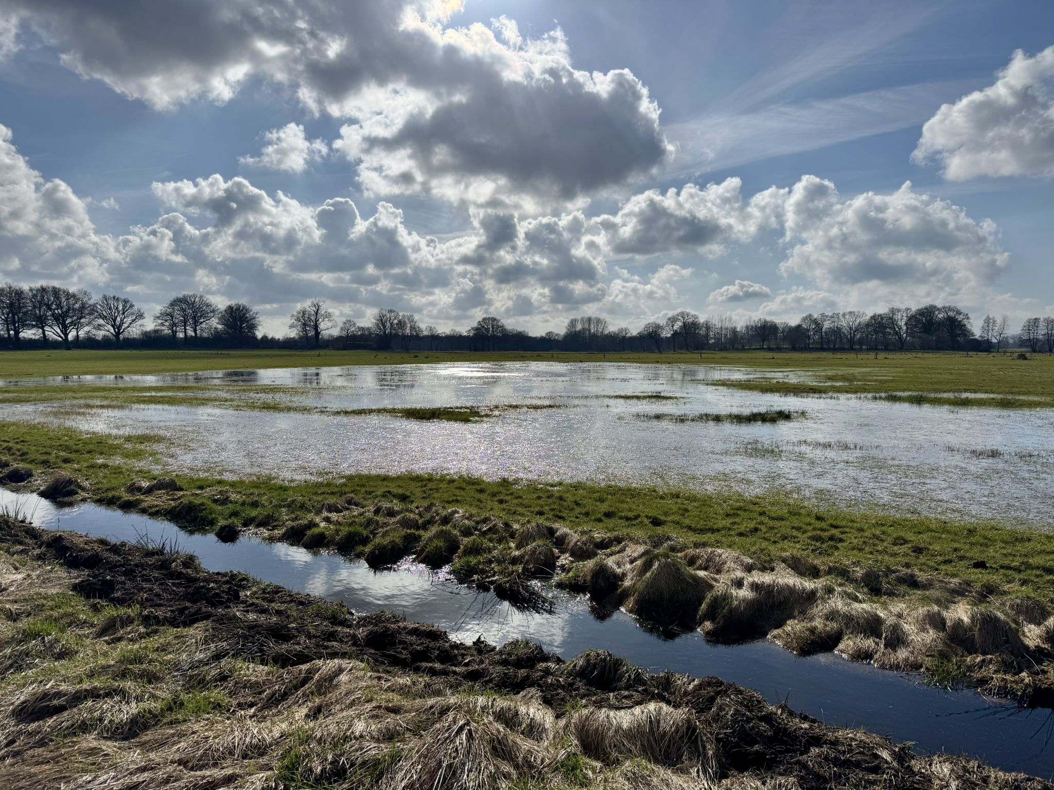 Graben randvoll, Wiese überflutet