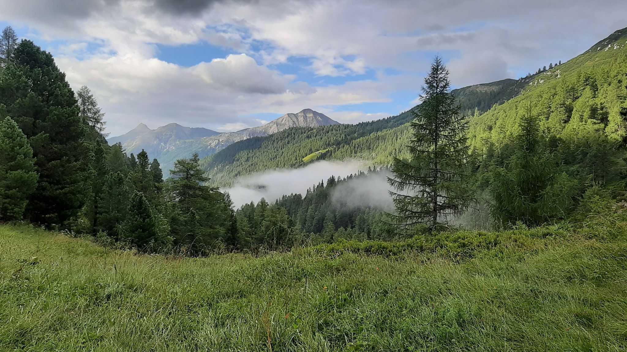 Blick zum vorderen und hinteren Weißeneck