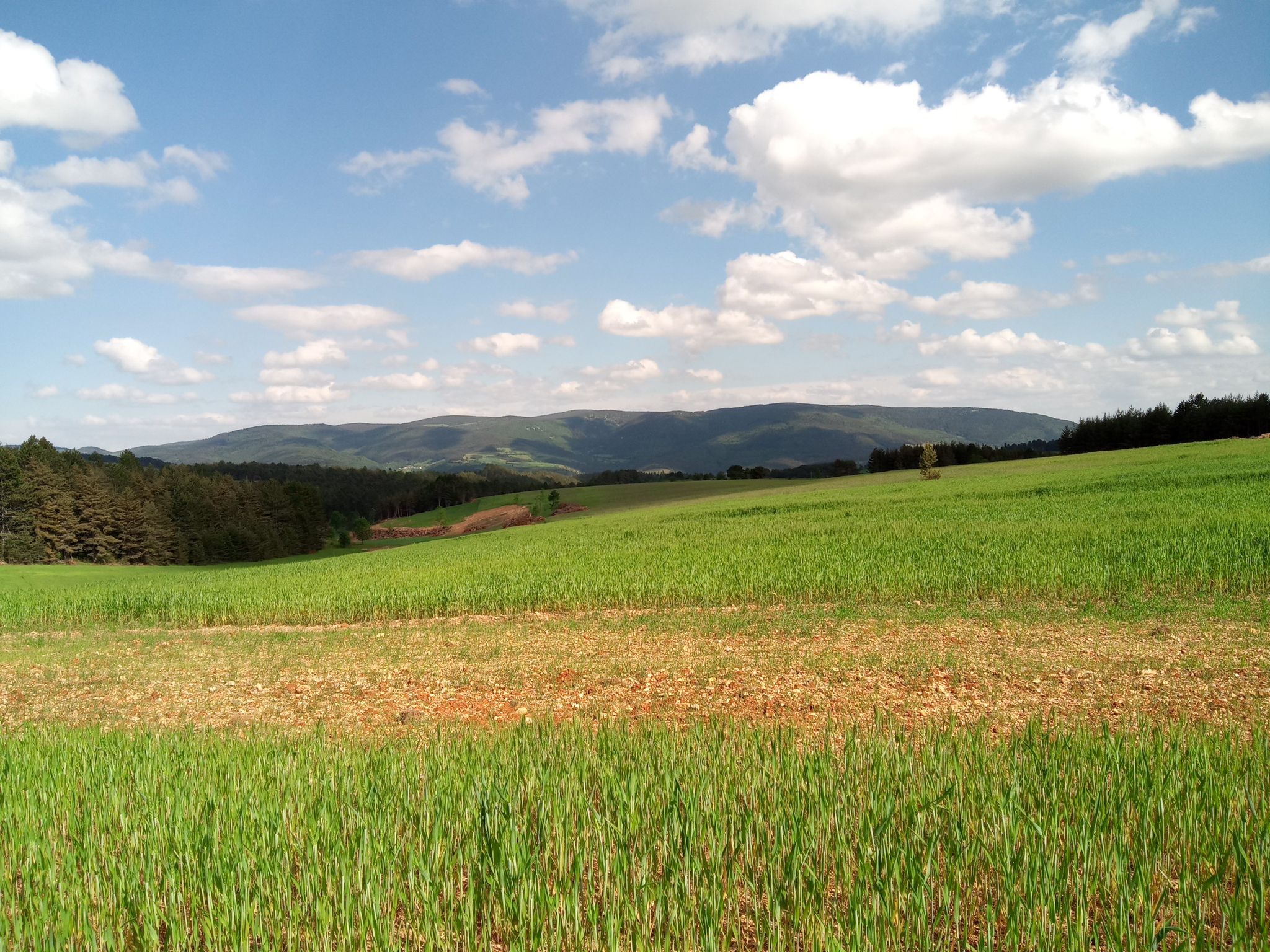 vue sur le causse de Sauveterre