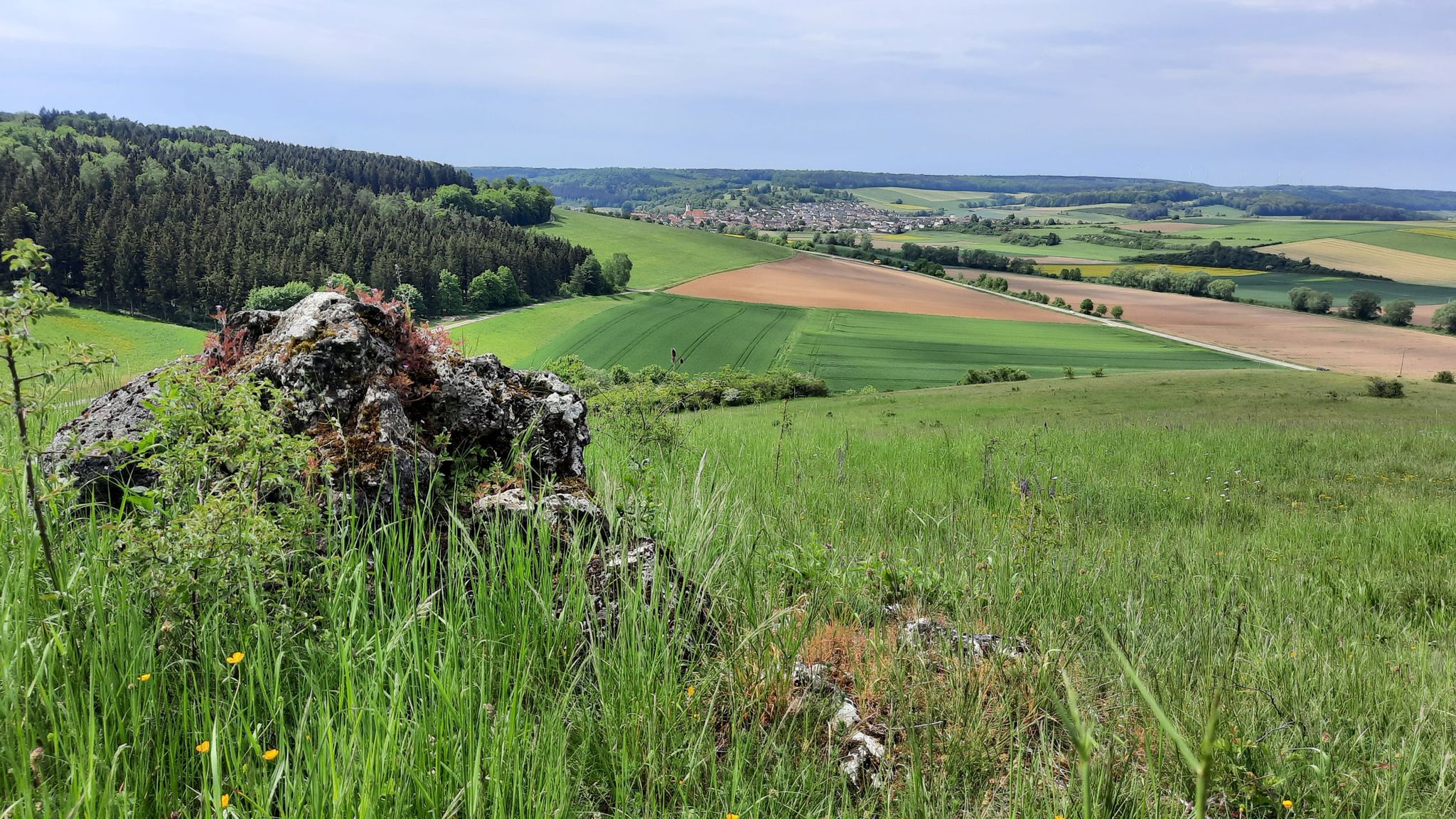 Blick auf Dischingen