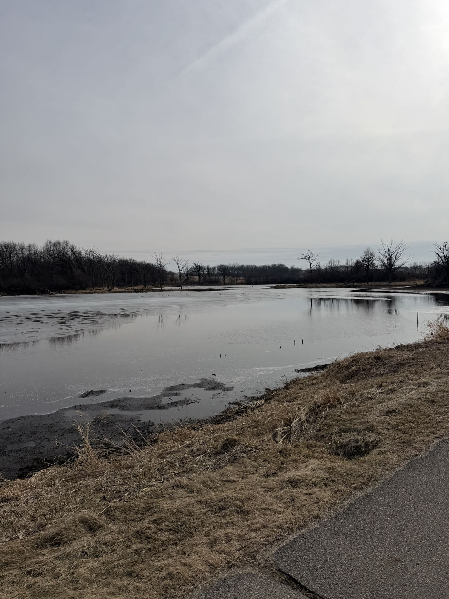 Partially frozen lake with dry grassy bank under an overcast sky. - Goose Lake – Quarry Ridge Recreation Area loop from Mount Horeb