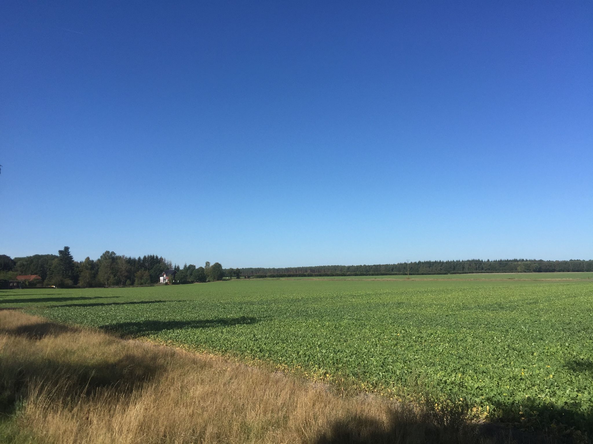 Landschaft bei Räderloh