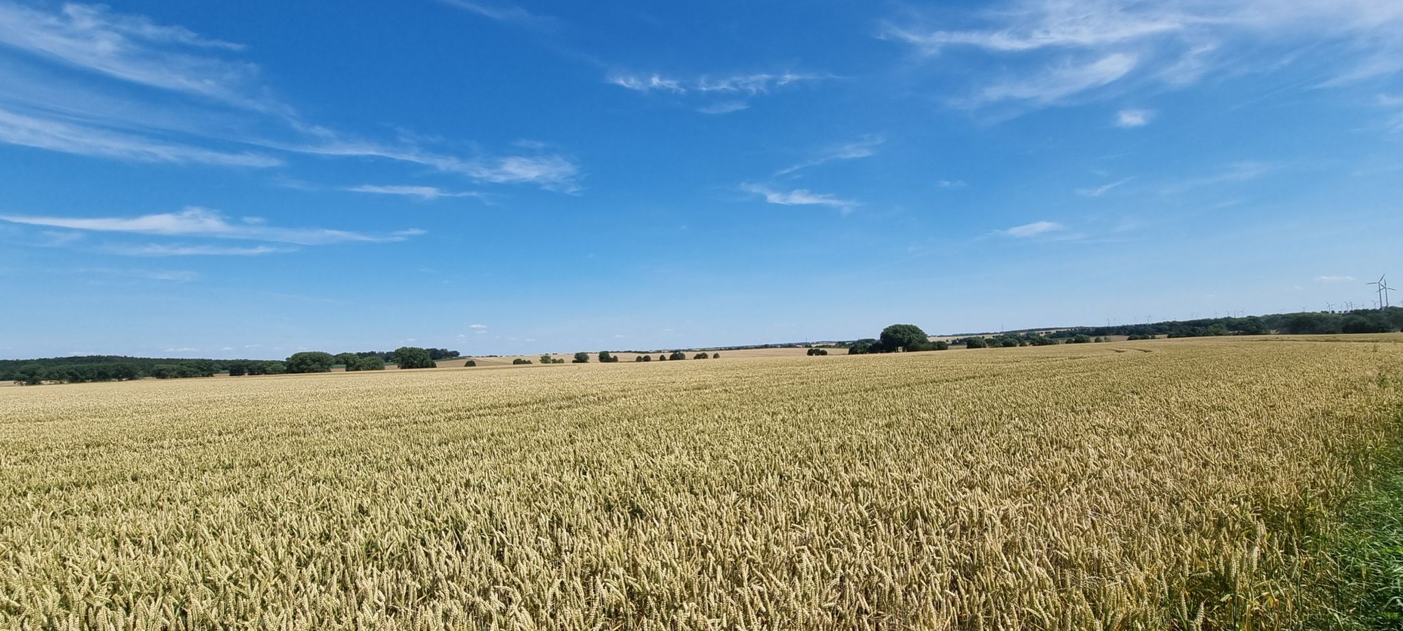 schöner Blick über die Felder