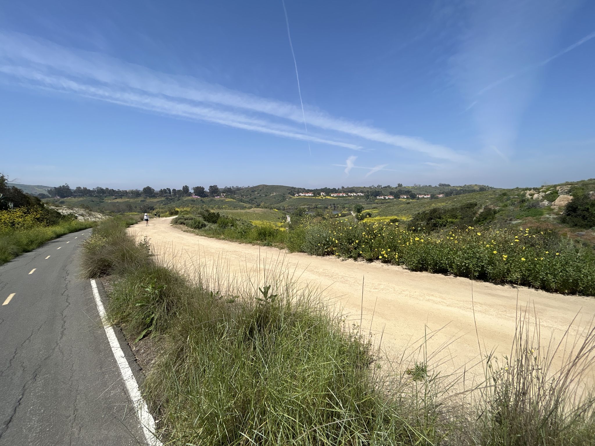 Paved road and dirt path curving through green hills under a bright sky. - Serrano Ridge Trail – Shady Canyon Trail loop from University of California, Irvine