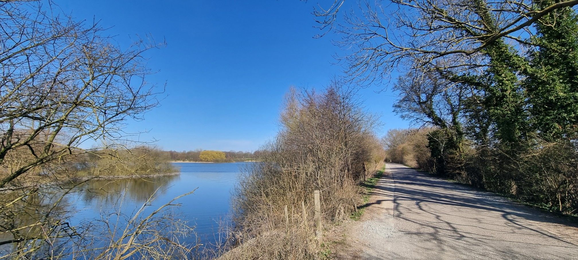Överdiek