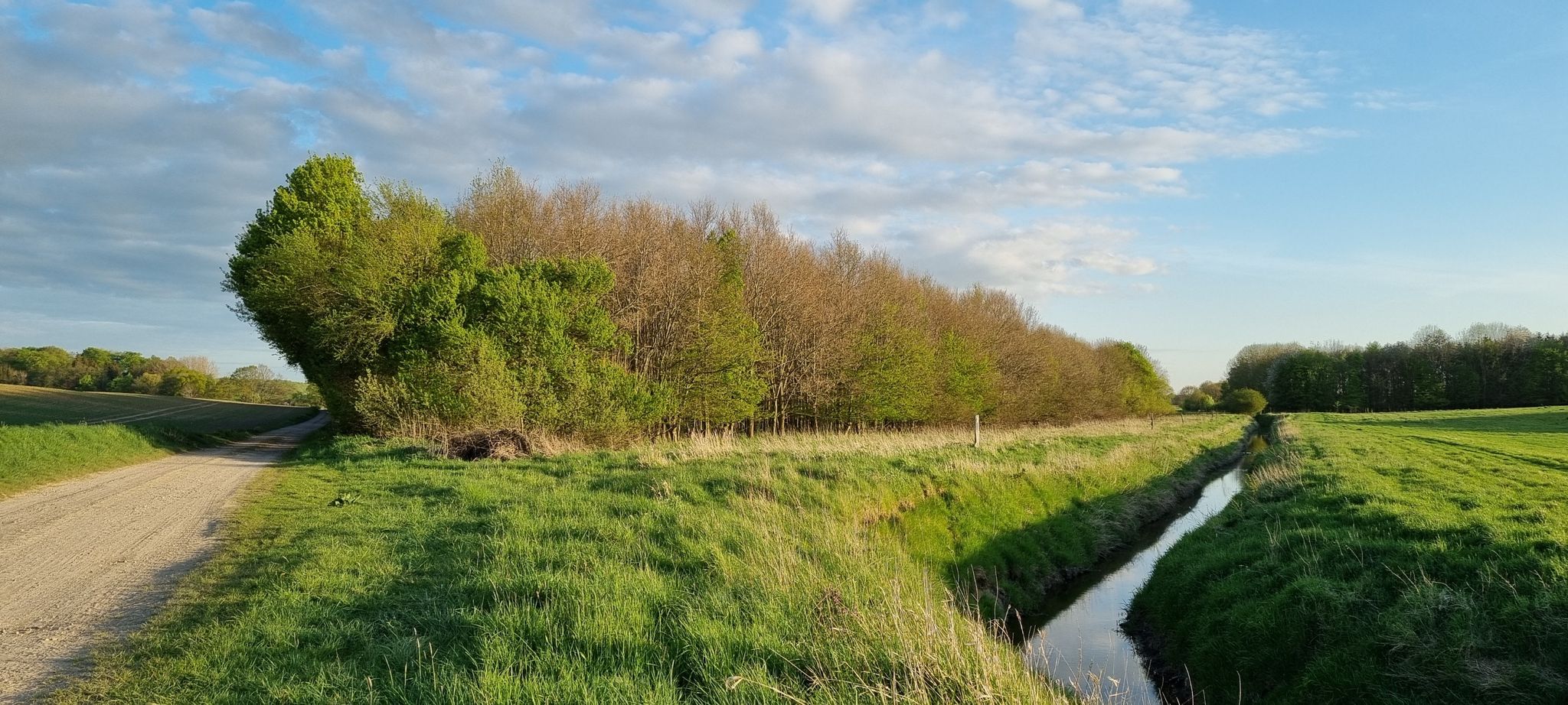 ...und wieder die Trave