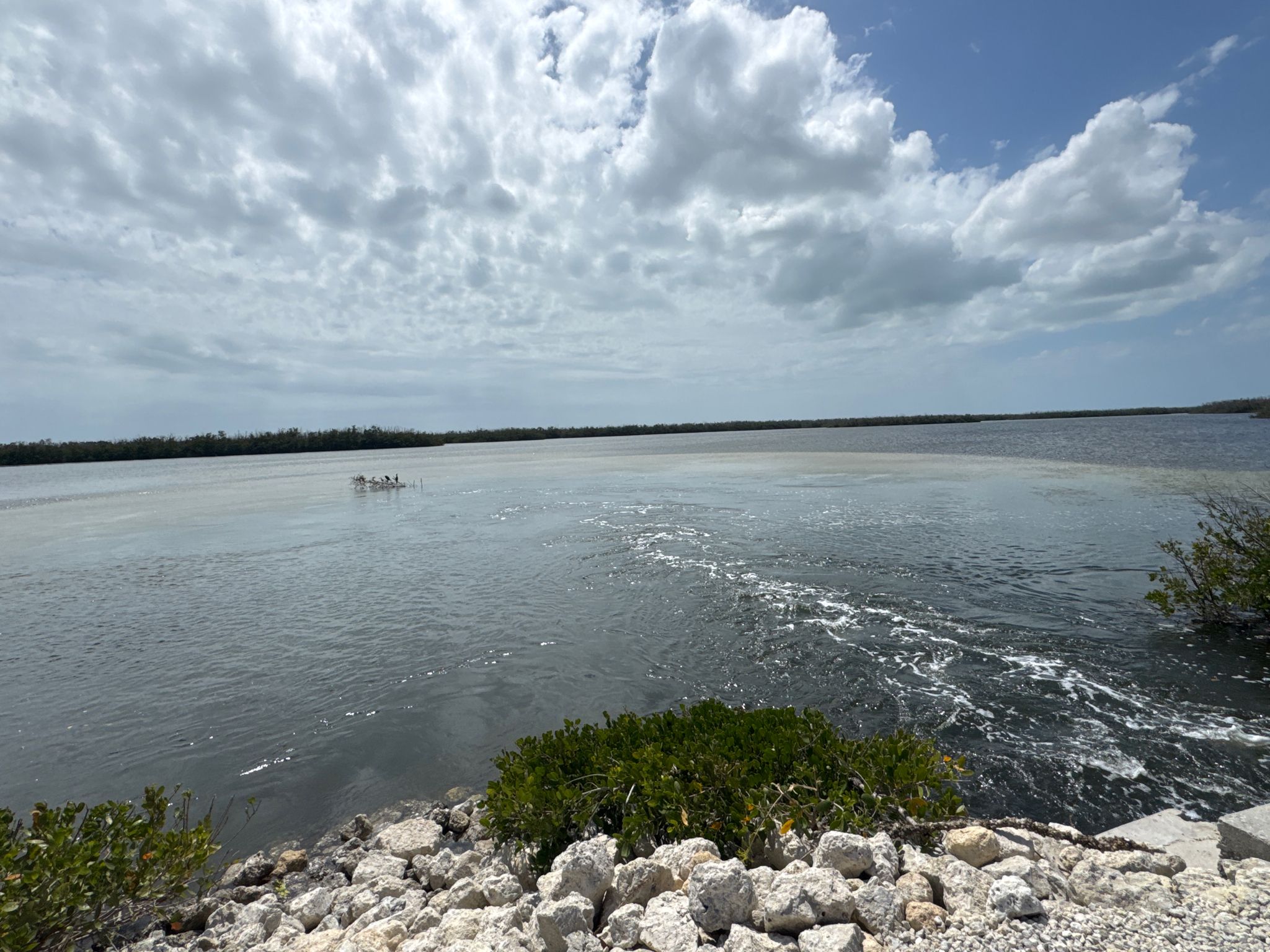 Wide water body with distant trees, cloudy sky, and rocky foreground. - Indigo Trail Loop