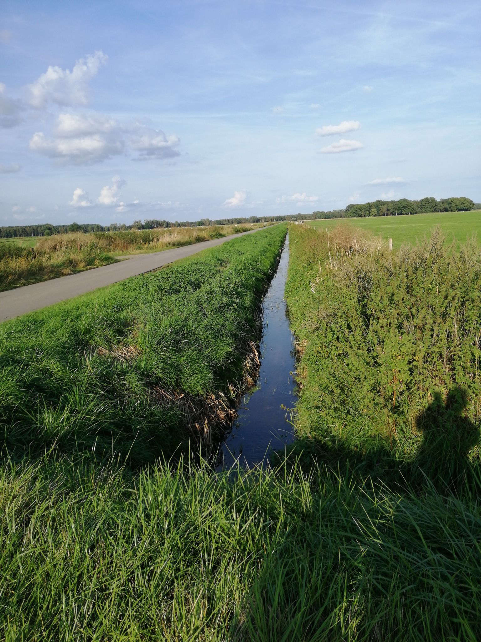 Steimbke 's Wiesen 