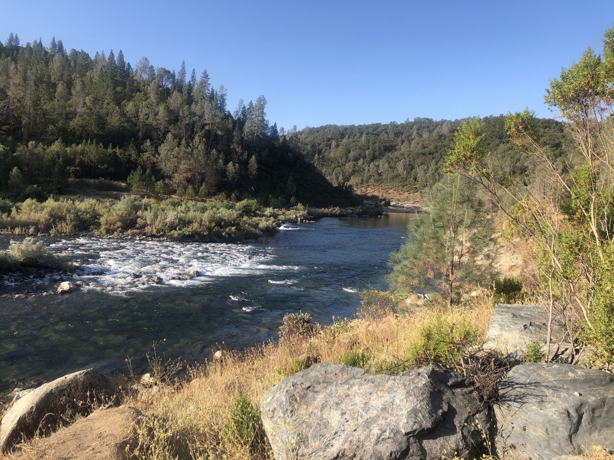 A wide river with rapids flowing through forested hills on a sunny day. - Pioneer Express Trail to Avery's Pond