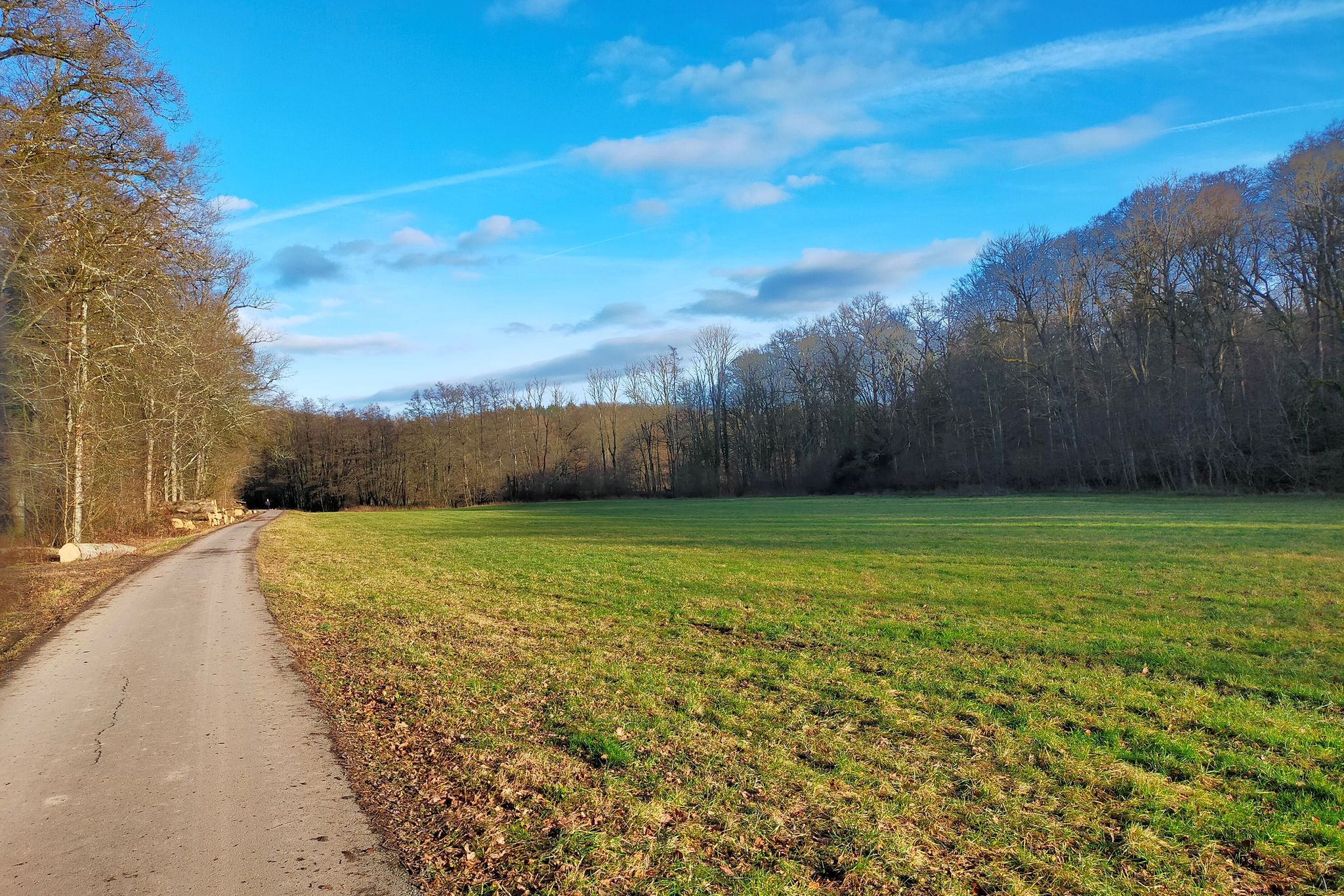 Fahrt im Hardtwald