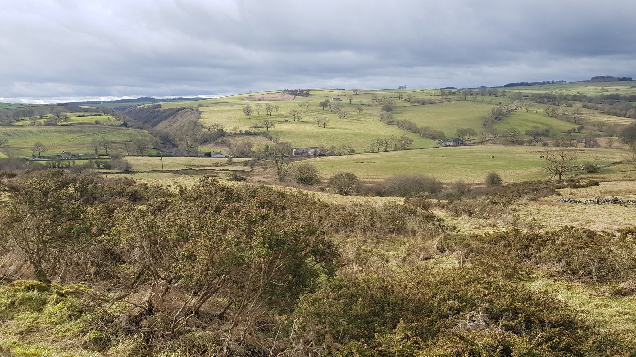 View to Gratton Dale