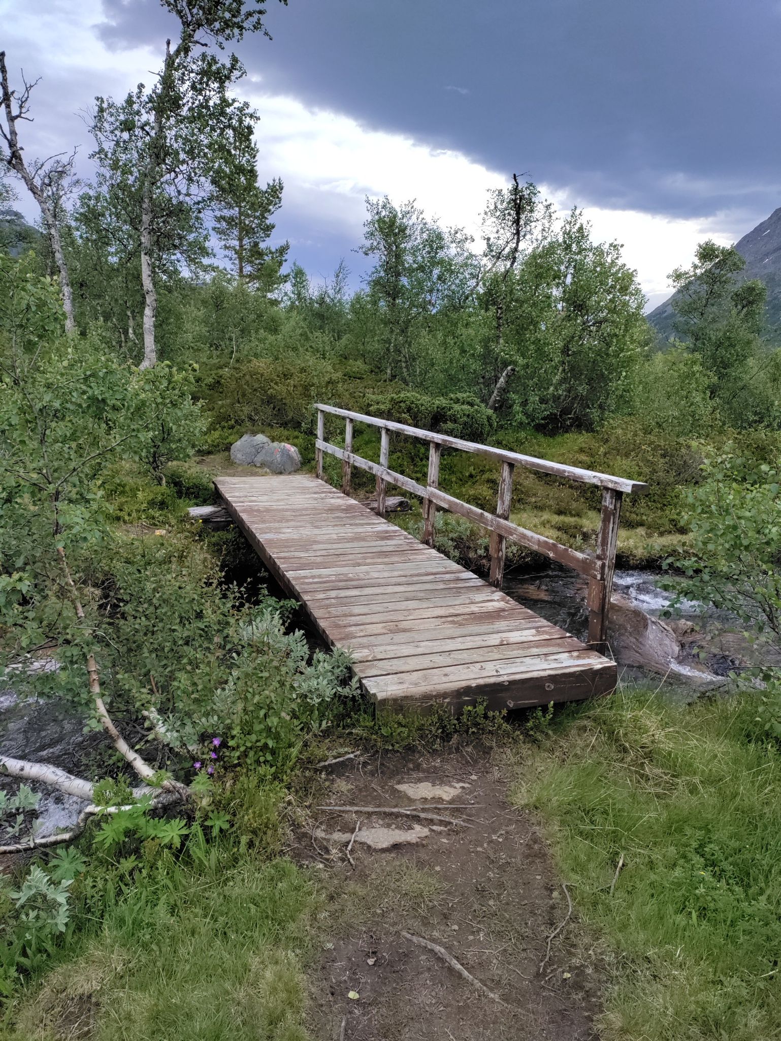 Bridge