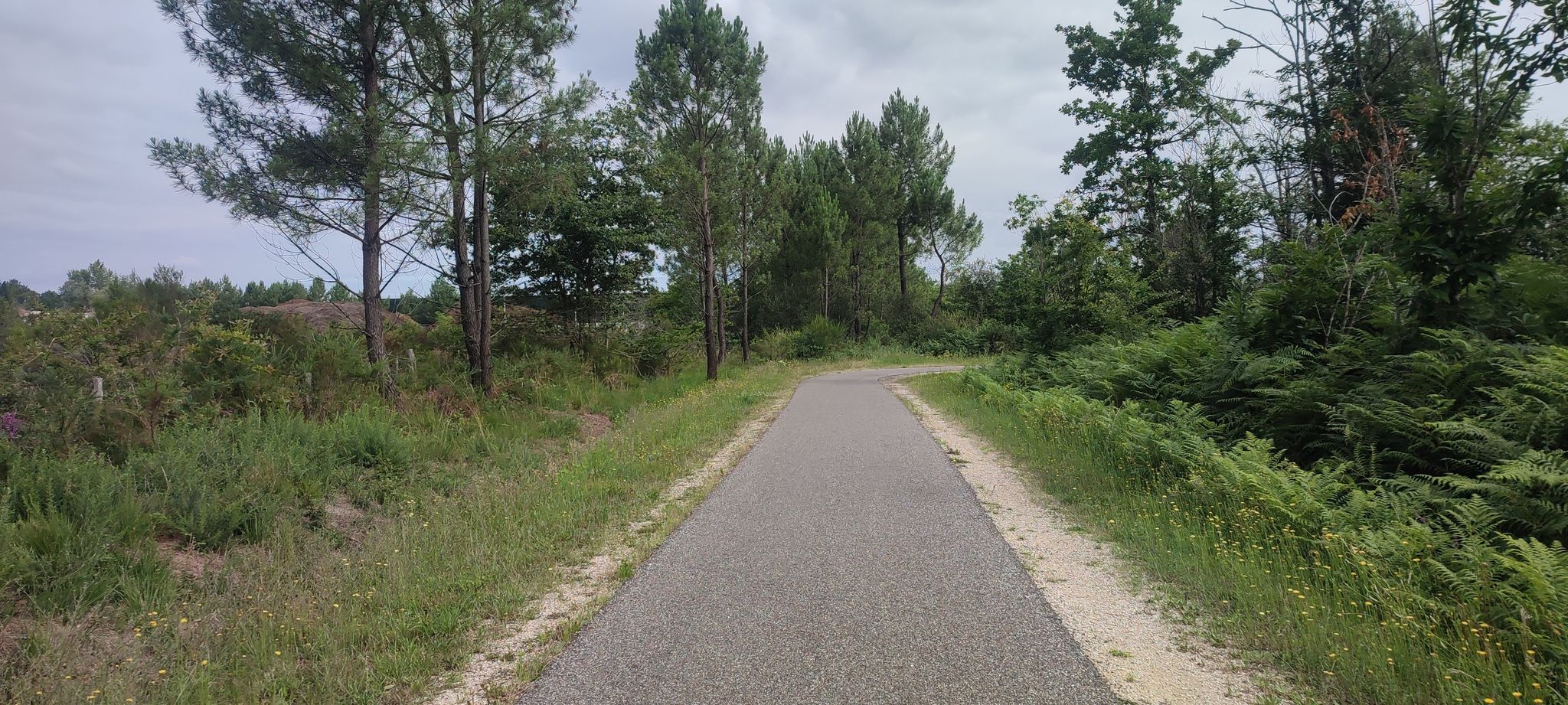 schöner Bahntrassenradweg EV3, D809 nach Langon