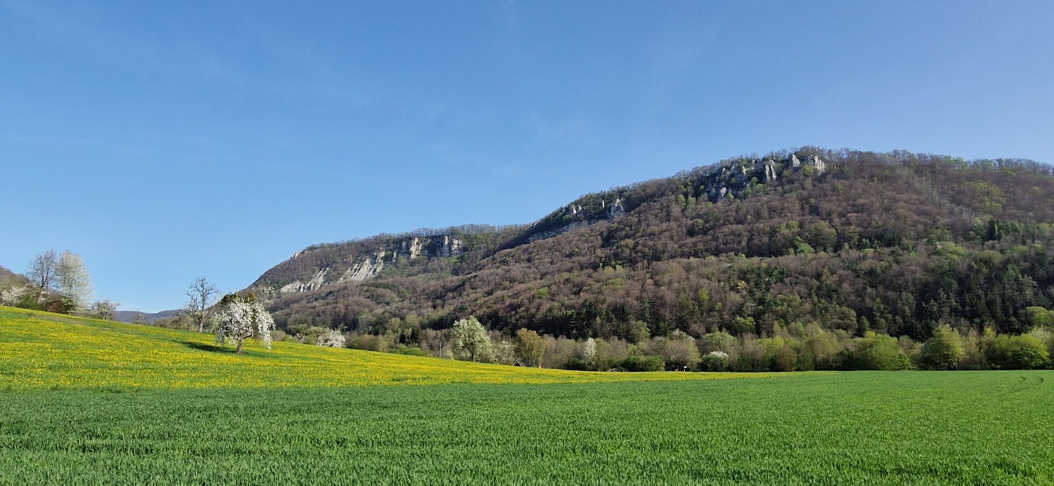Ich komme aus dem Staunen nicht raus. Blick auf "Hausener Wand"