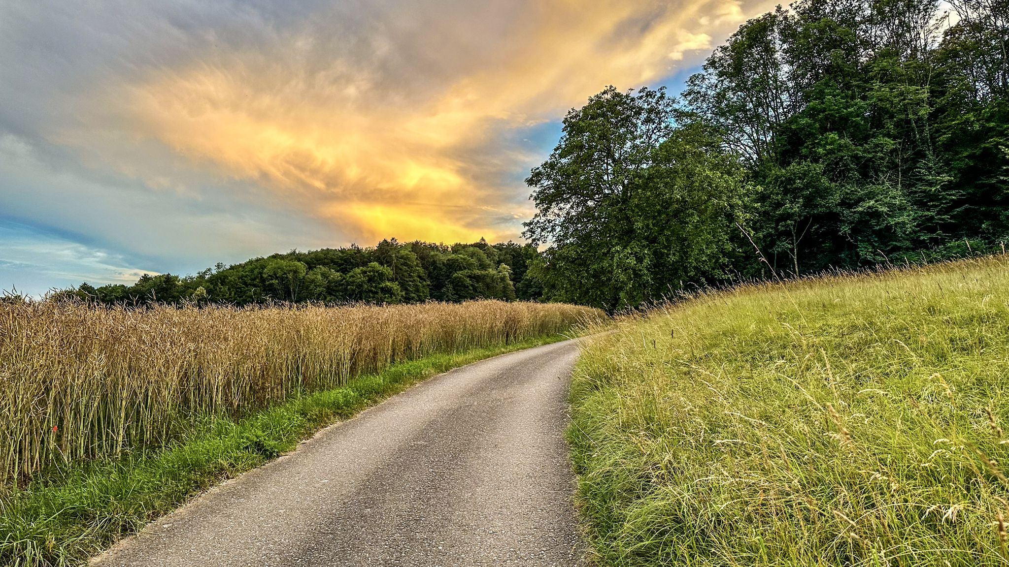 ...Abendstimmung 🫠...