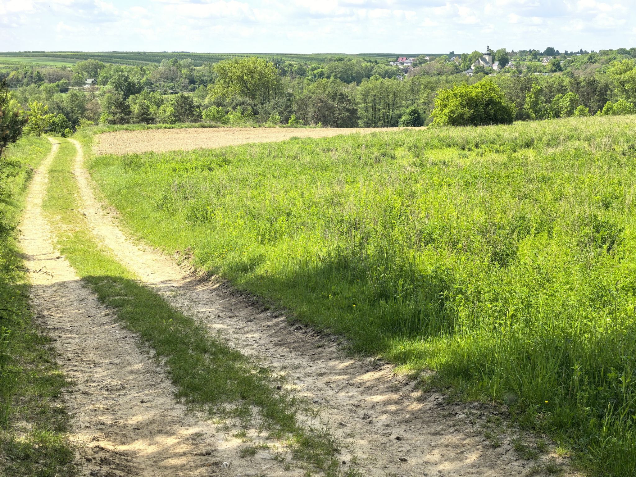 Trail view ze zjazdem do Kotuszowa.