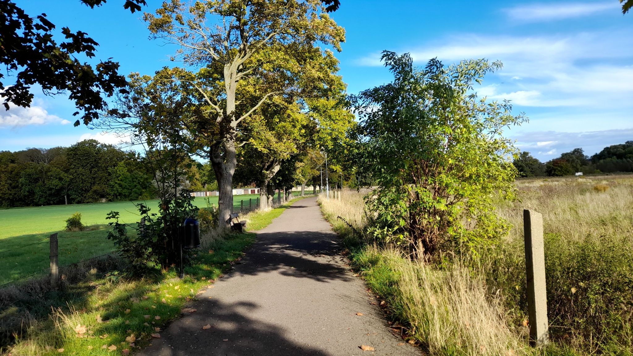 Radweg nach Hadmersleben