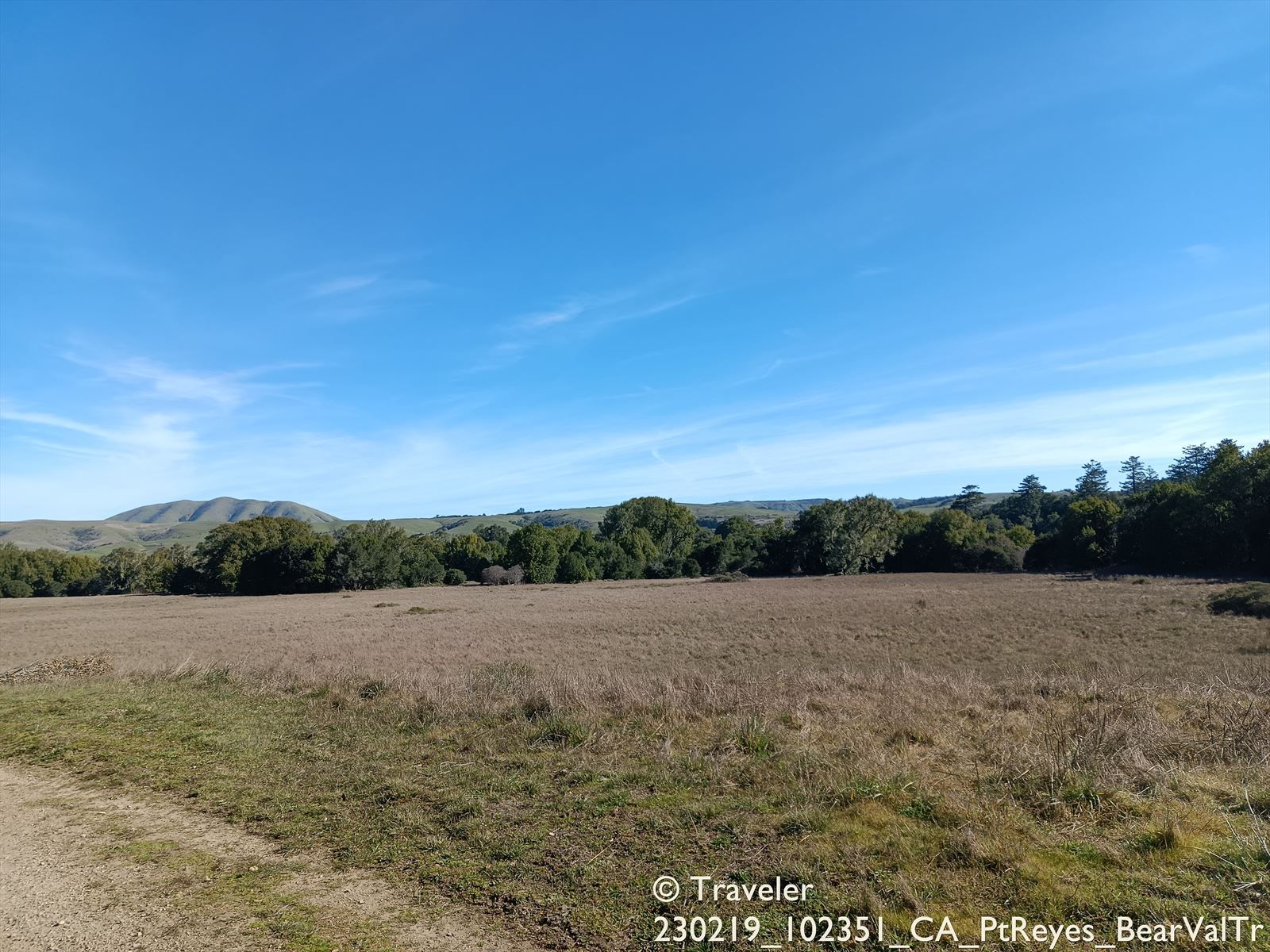 Wide open field of dry grass with a line of trees and distant hills under blue sky. - Bear Valley Visitor Center loop from Olema