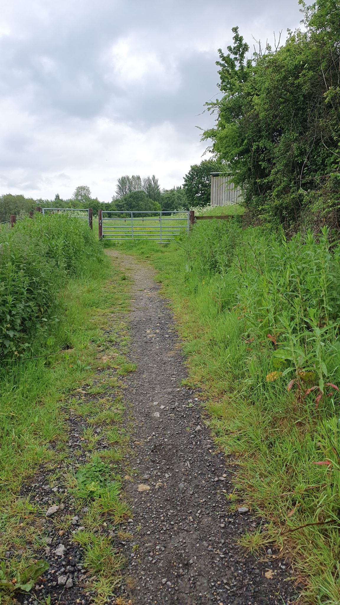 bridleway