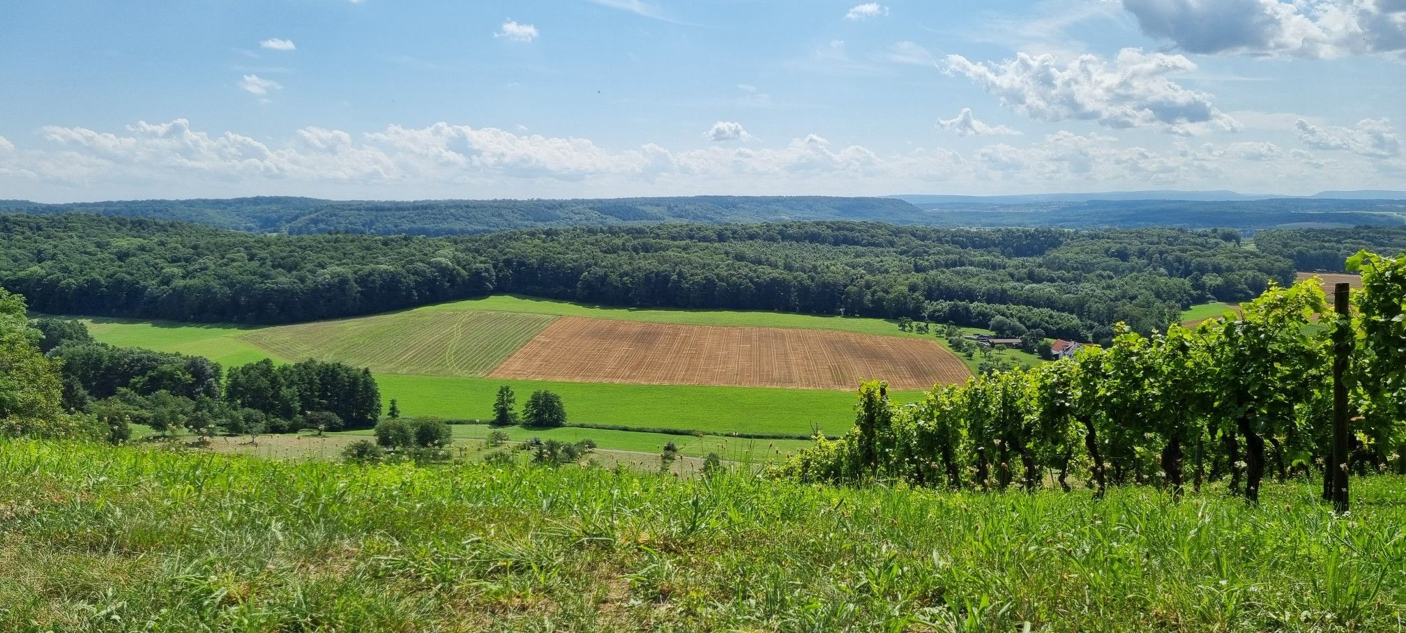Gleitschirmstartplatz beim Derdinger Horn