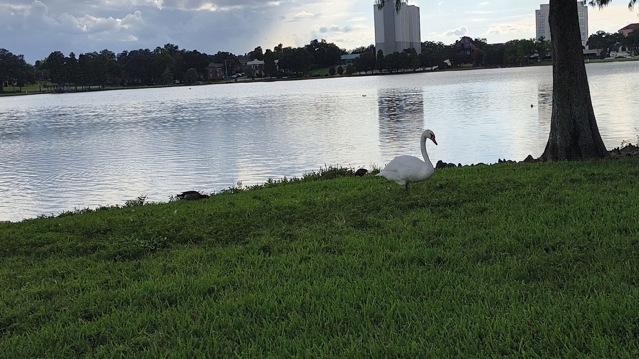 Lake Morton