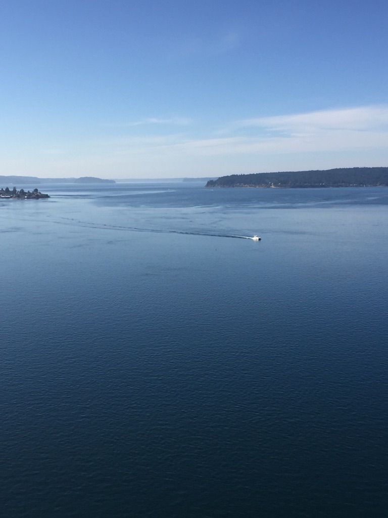 Calm blue water with a boat wake, distant forested land, clear sky. - Cushman Trail and Point Defiance Loop