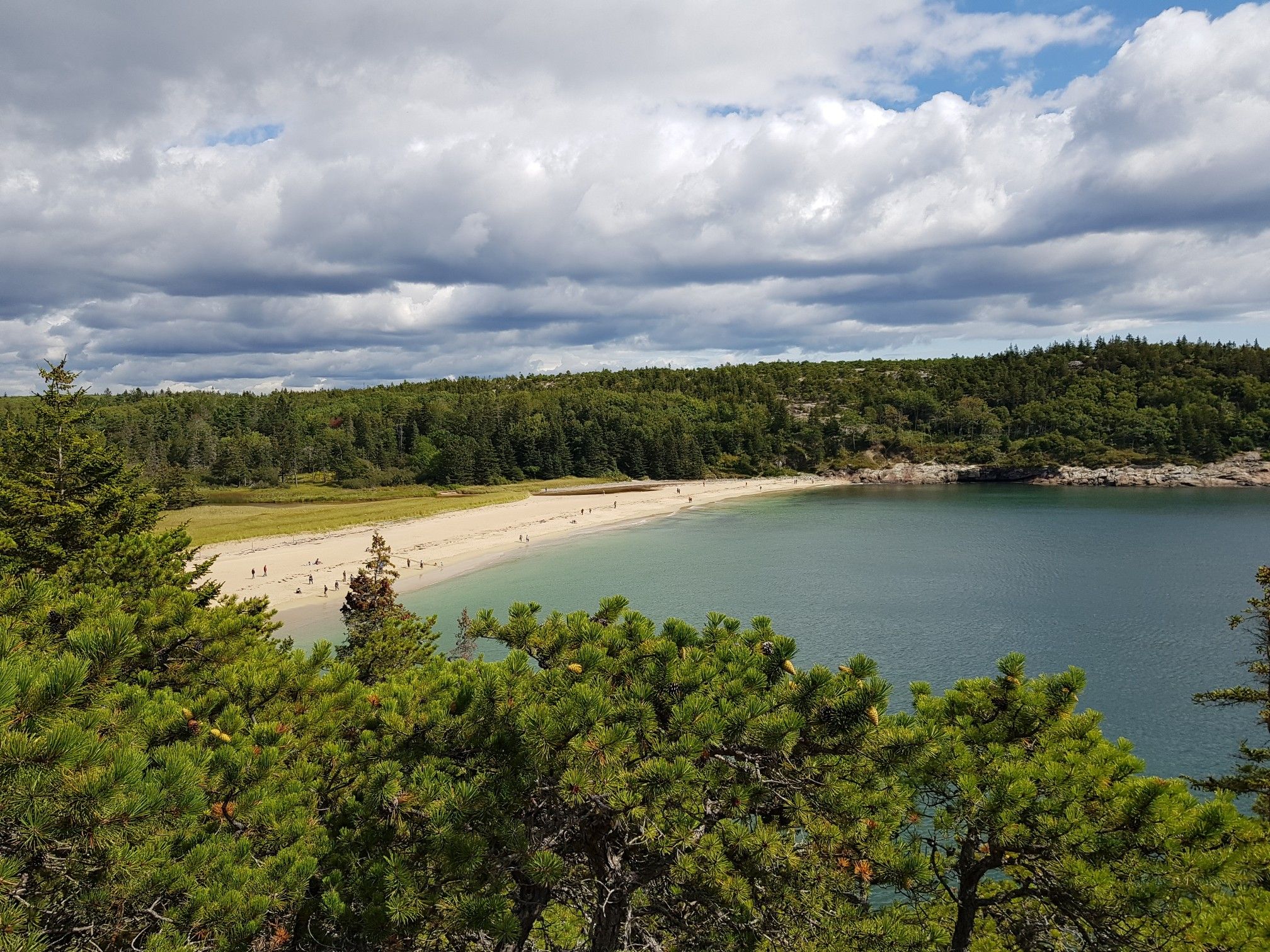 Overcast view of a long sandy beach, calm ocean, and dense green forest. - Ocean Path