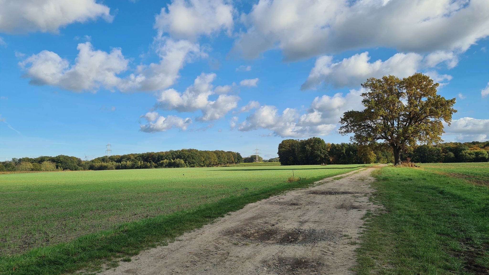 Gegend bei Helmerkamp