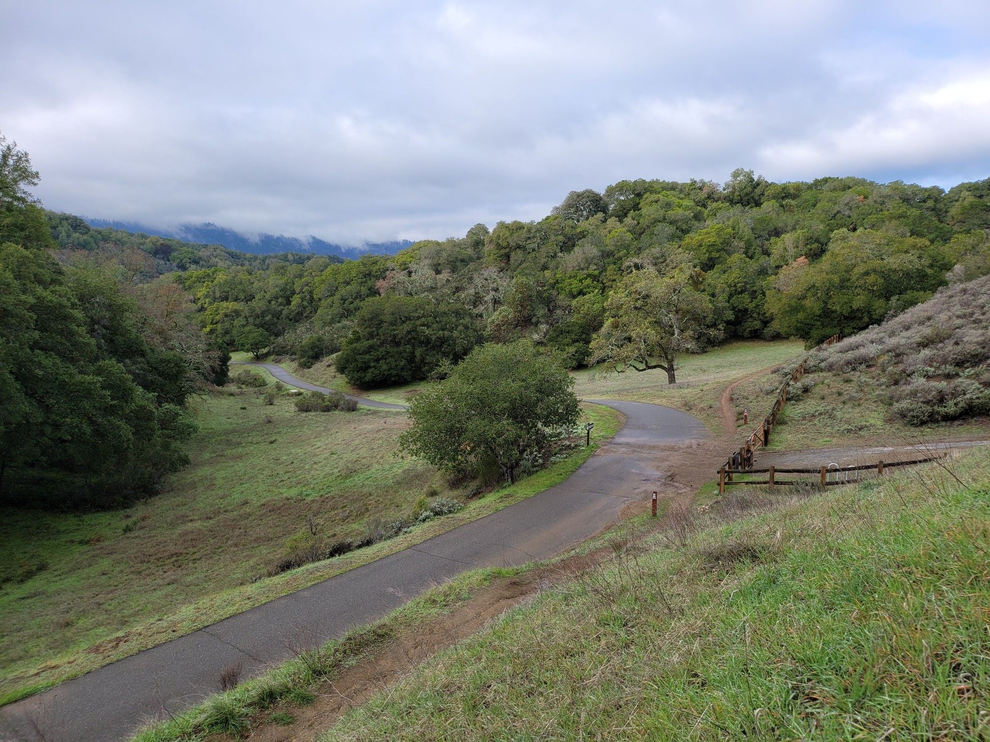 Winding paved path through green hills and trees under a cloudy sky. - Arastradero Creek Loop