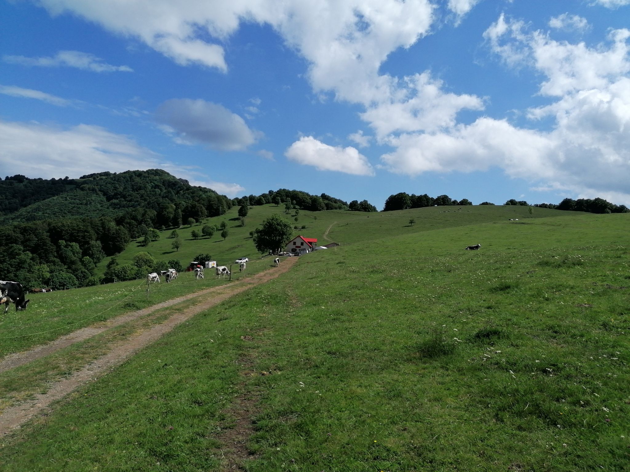 ferme