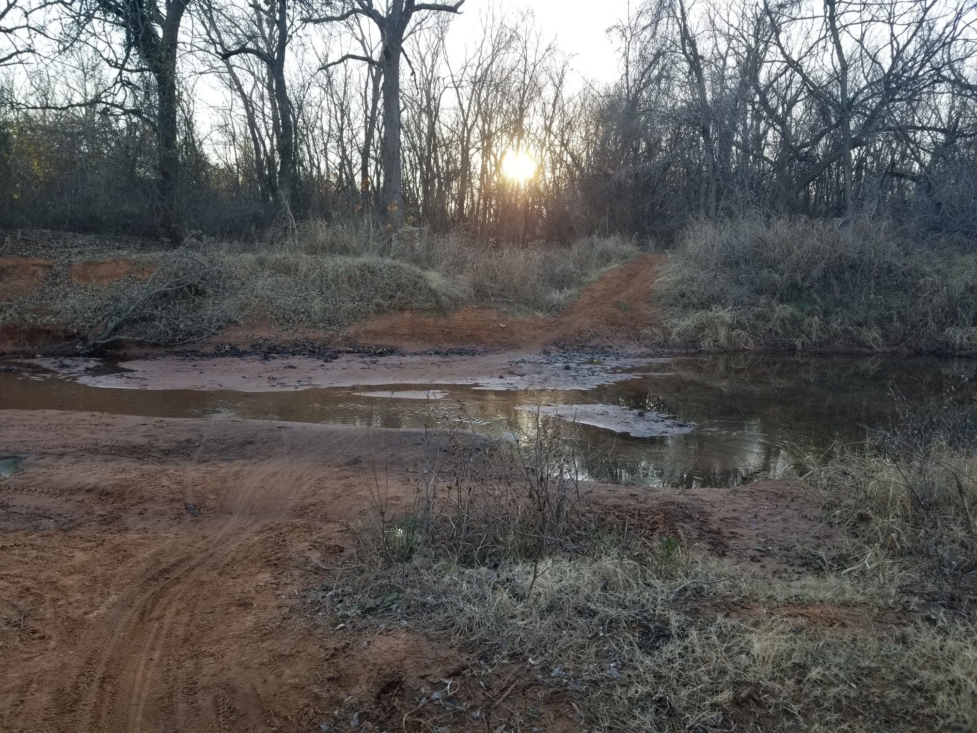 Sun peeking through bare trees over a muddy stream and dirt path. - Arcadia Lake Trail