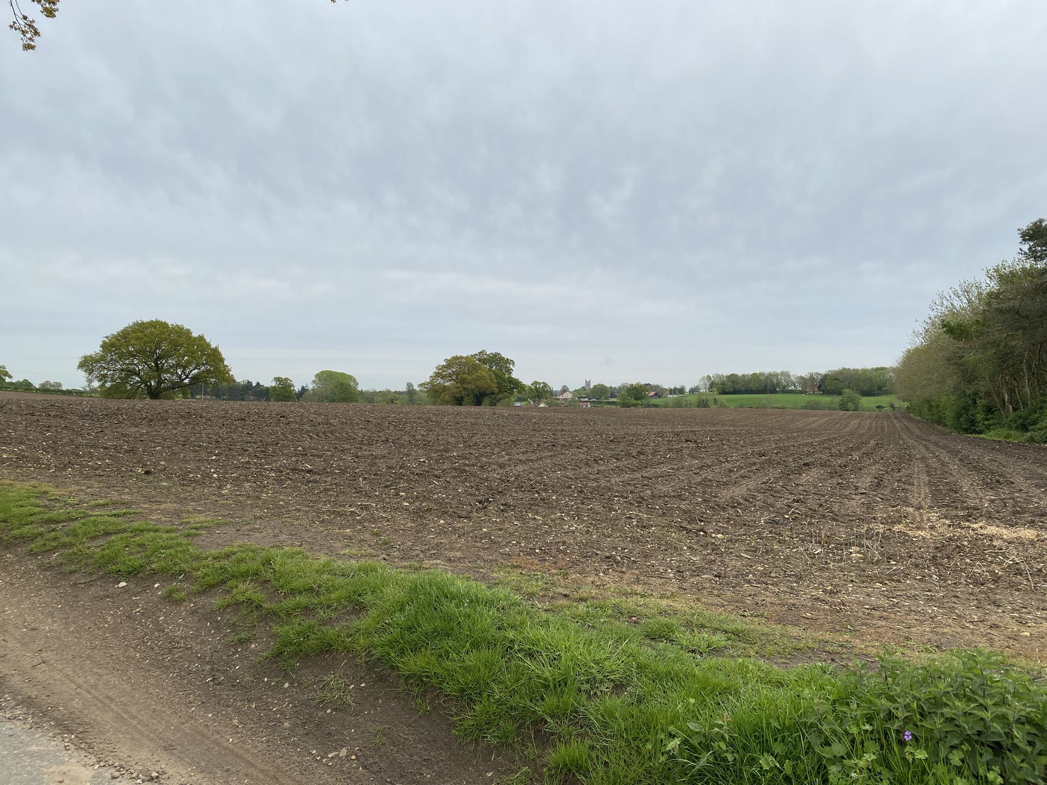 A rewarding view across the fields towards the cafe, as you get your breath back