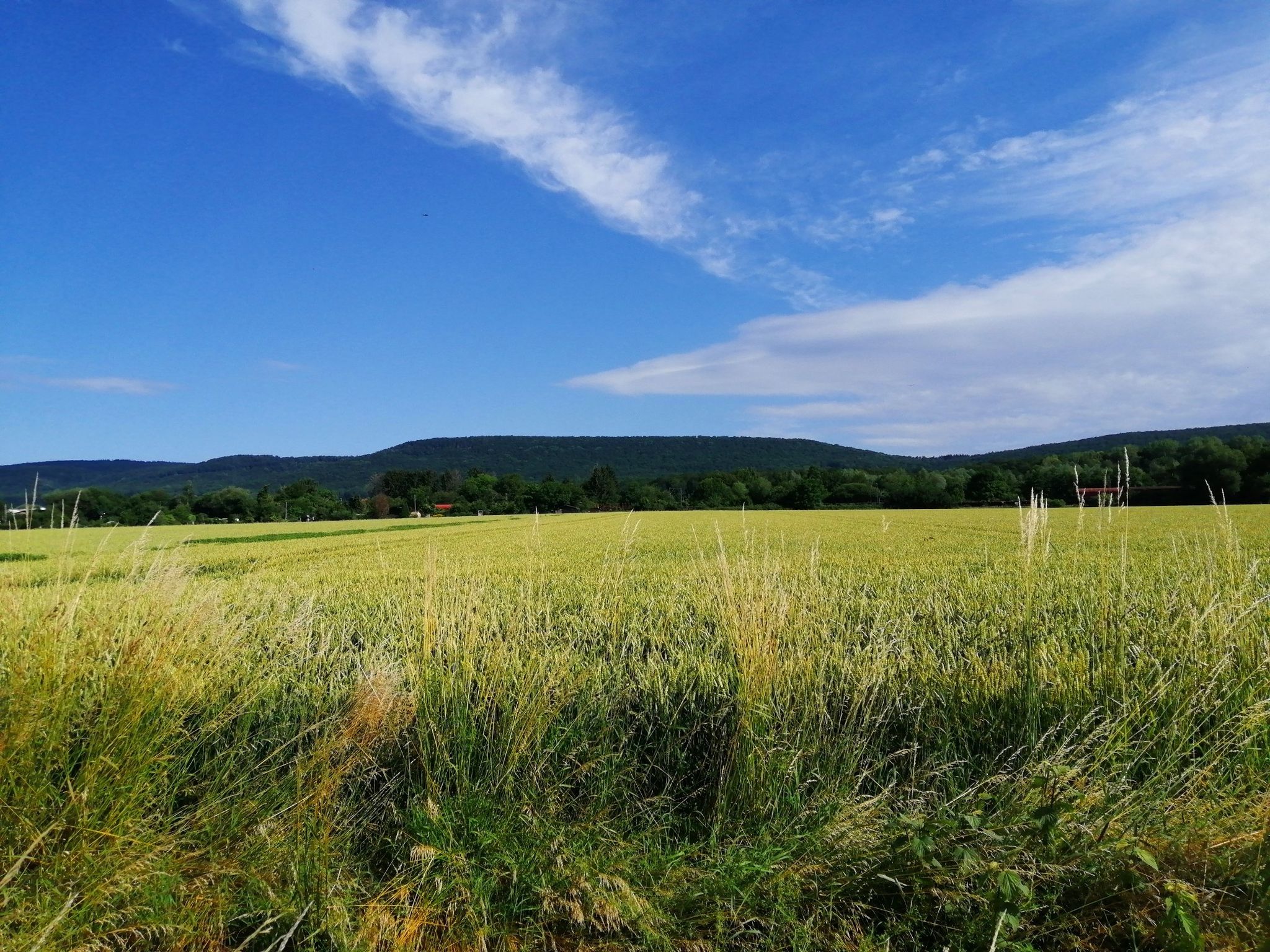 Blick auf den Bielstein