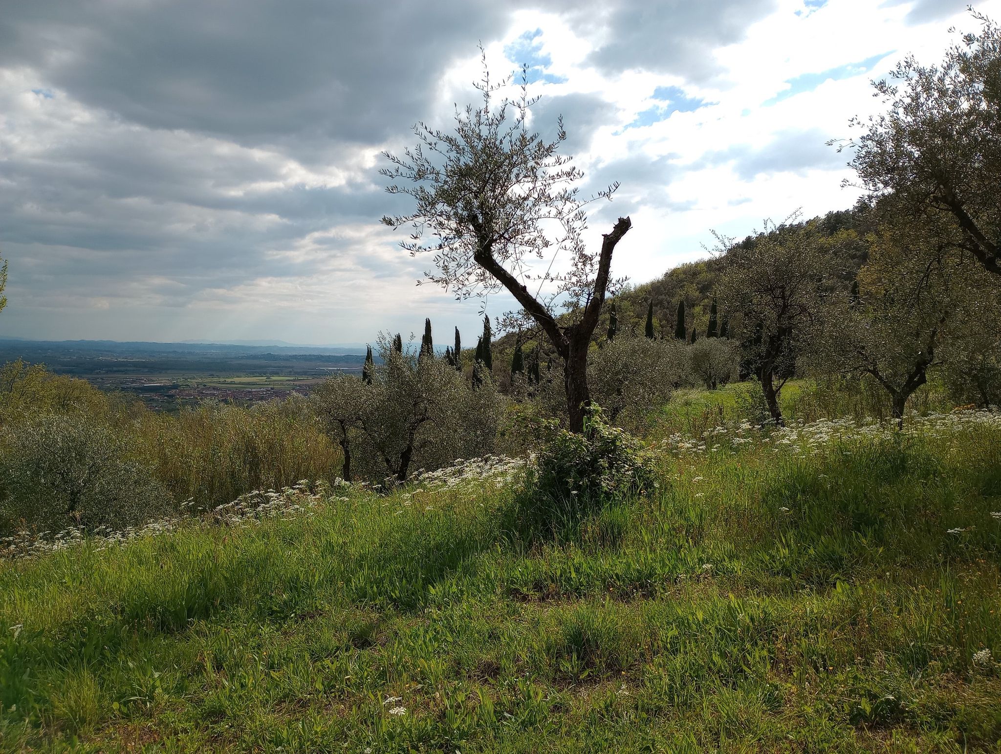 Vista sulla periferia di Monsummano