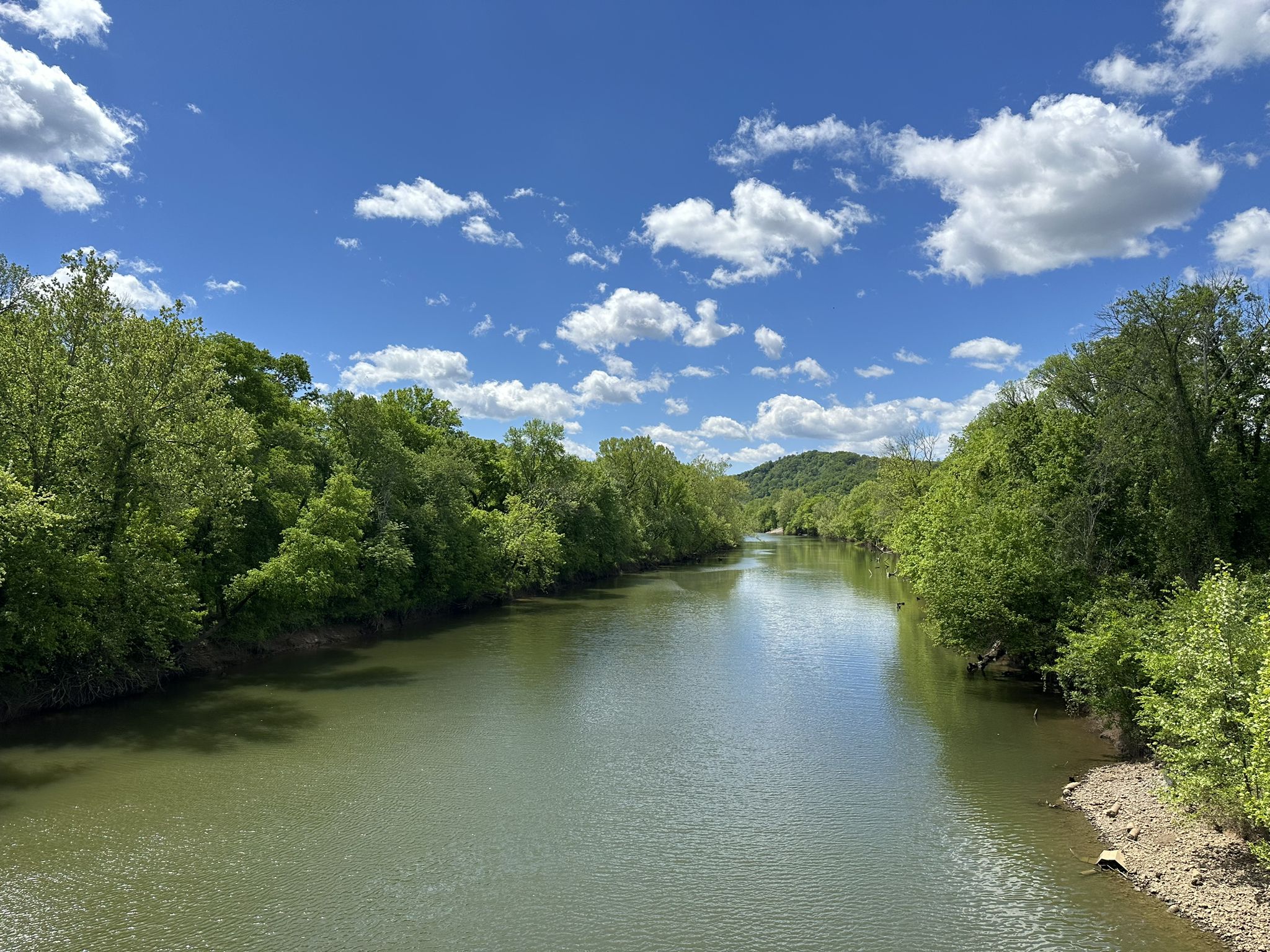 River winding through lush green trees under a blue sky with clouds. - Music City Bikeway